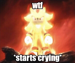 [an image of shadow the hedgehog in super mode, glowing with a golden aura. he looks angry. the image is captioned in impact font "wtf, *starts crying*"]