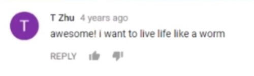 [a youtube comment that reads "awesome! i want to live life like a worm"]